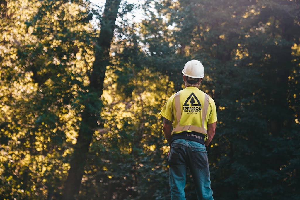 Tree Service Worker in Forest